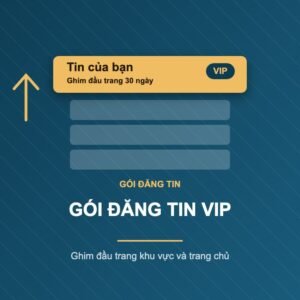 Gói đăng tin VIP ghim tin bất động sản lên đầu trang khu vực và trang chủ